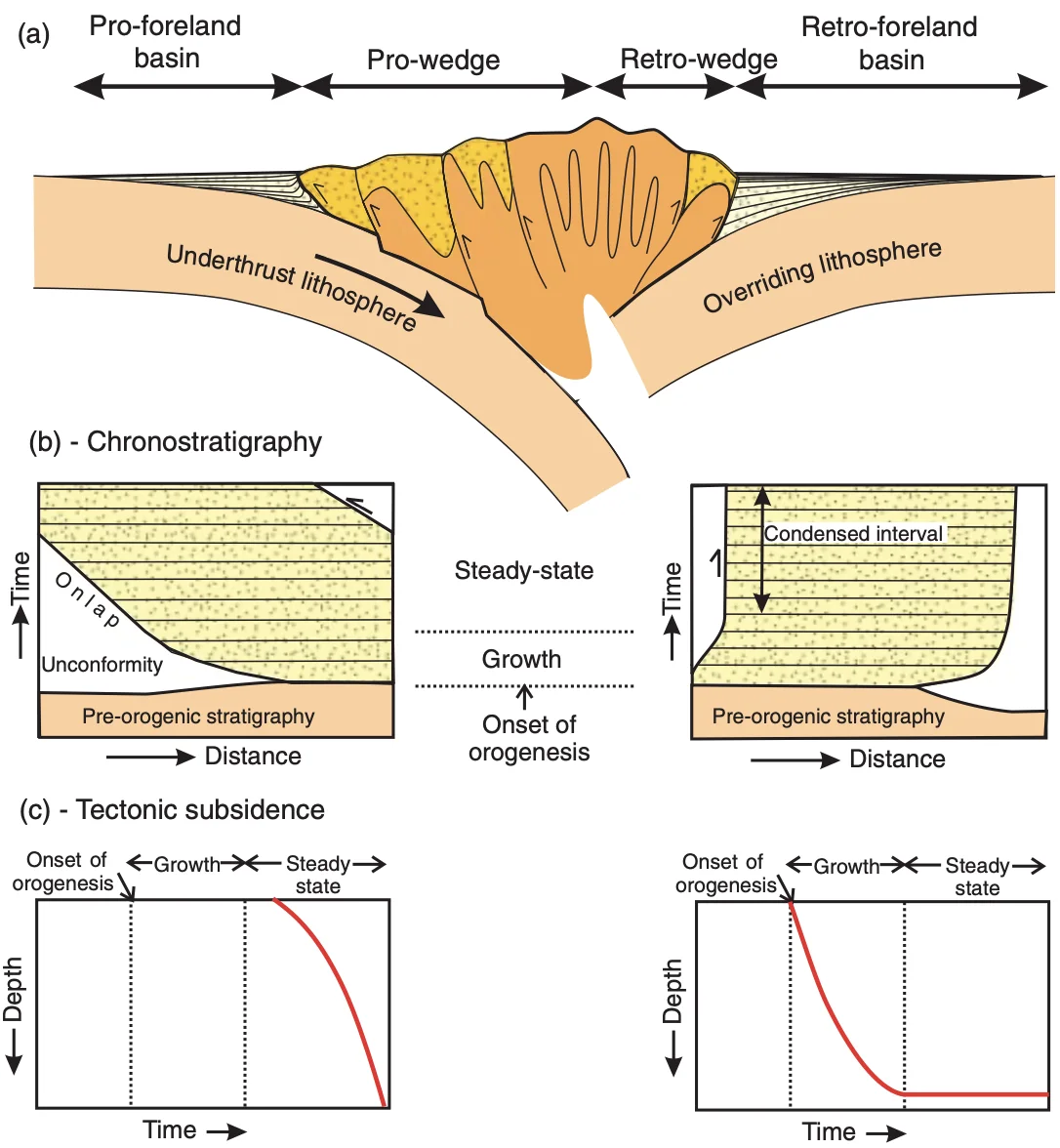 Model of foreland basin geometry in a doubly vergent wedge.