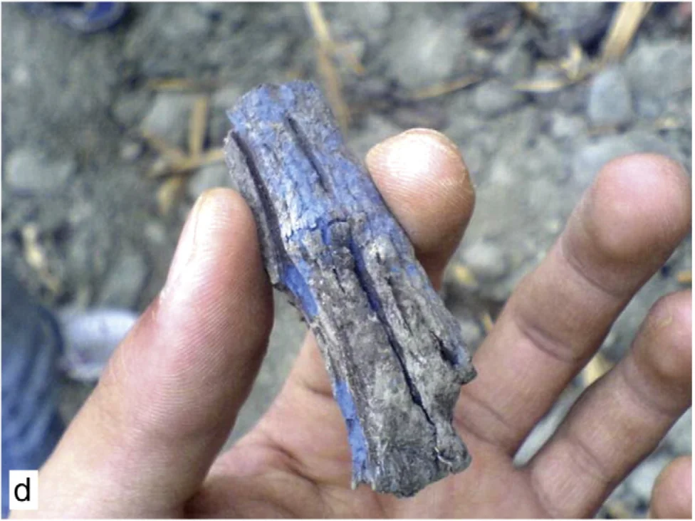 Vivianite coating on a buried wood fragment.